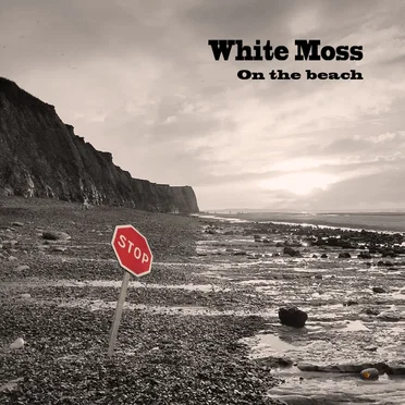 On the Beach by White Moss - album cover