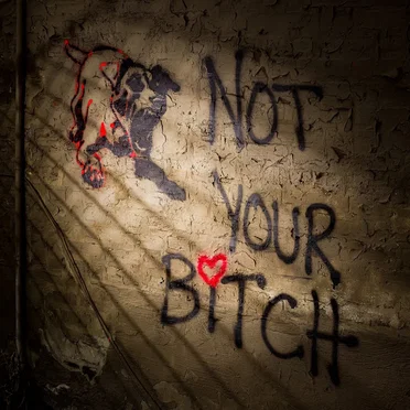 (Not Your) Bitch by Psychic Nurse - album cover