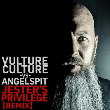 Jester's Privilege (Vulture Culture remix)