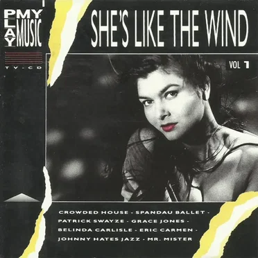 Play My Music, Vol 1: She's Like The Wind by Various Artists - album cover