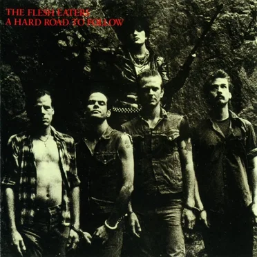 A Hard Road to Follow by The Flesh Eaters - album cover