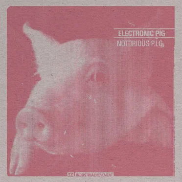 Notorious P.I.G.