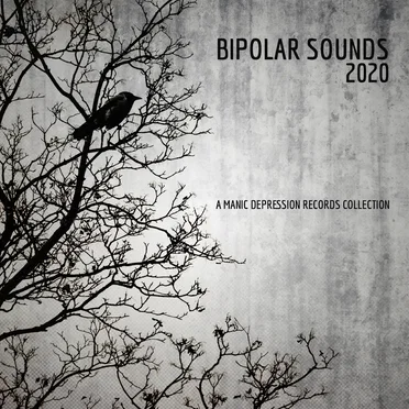 Bipolar Sounds 2020 by Various Artists - album cover