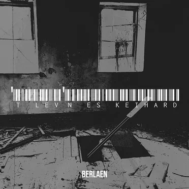 't Lev'n es keihard by Berlaen - album cover