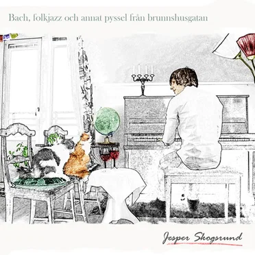 Bach, Folkjazz Och Annat Pyssel På Brunnshusgatan