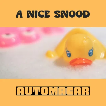 A Nice Snood by Automacar - album cover