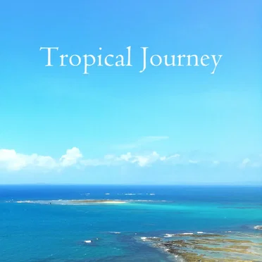 Tropical Journey by 40Nix - album cover