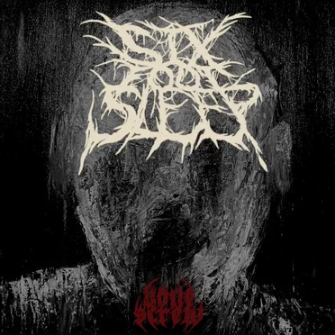 Bone Screw