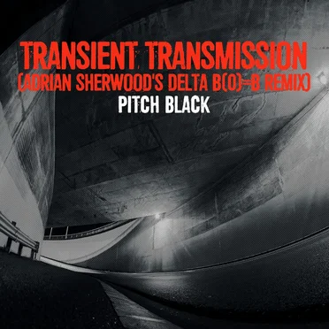 Transient Transmission (Adrian Sherwood’s Delta B(0)=B remix)