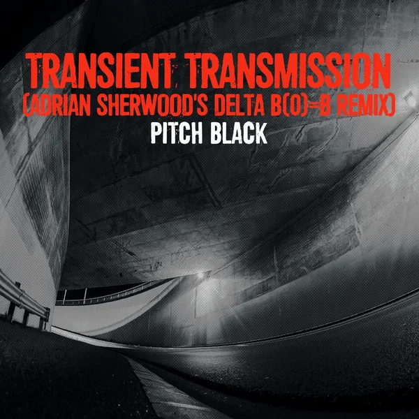 Transient Transmission (Adrian Sherwood’s Delta B(0)=B remix)