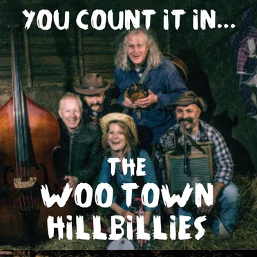 You Count it In... by The Woo Town Hillbillies - album cover