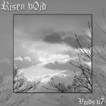 Voids v7 by Risen v0id - album cover