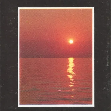The Silent Waves