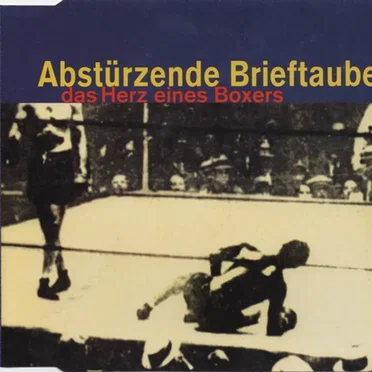 Das Herz eines Boxers