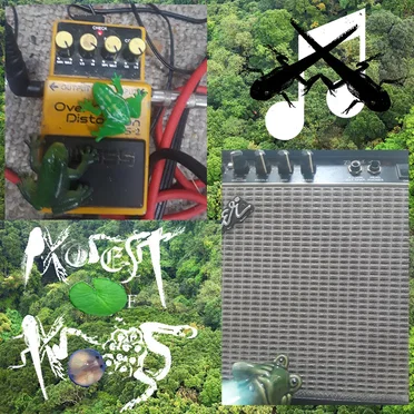 World Frog Day of Noise, Vol. 2