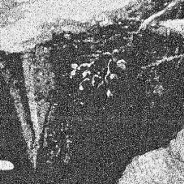 Cave Ritual / Folteraar