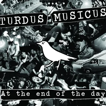 At the End of the Day by Turdus Musicus - album cover