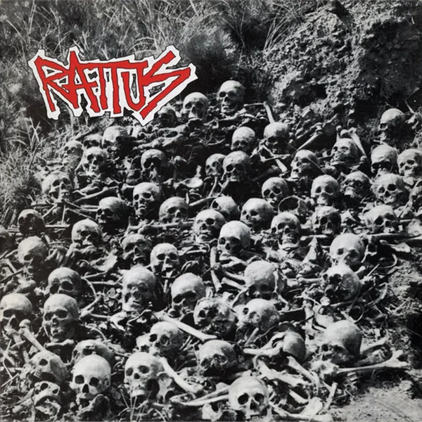Rattus