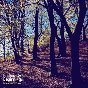 Endings & Beginnings by Howling Bee - album cover