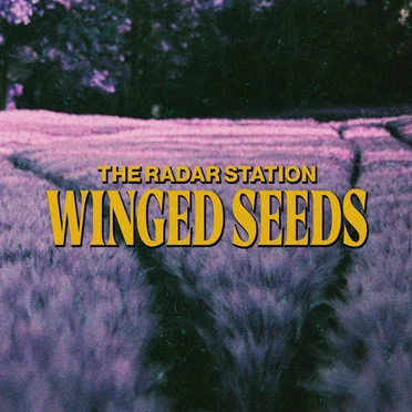 Winged Seeds