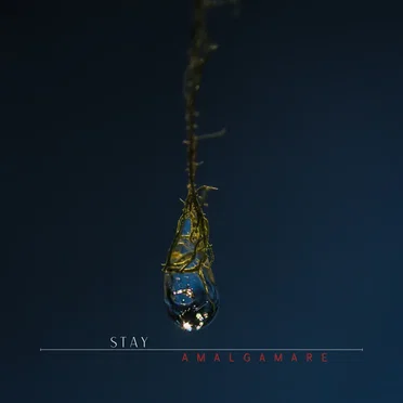 Stay by Amalgamare - album cover