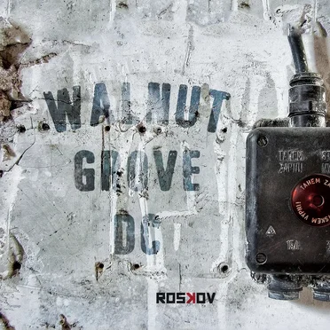 Roskov by Walnut Grove DC - album cover