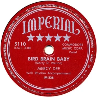 Bird Brain Baby / Big Foot Country
