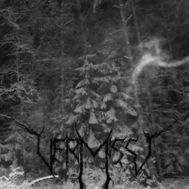 Frosty Grimness Essence by Vermisst - album cover