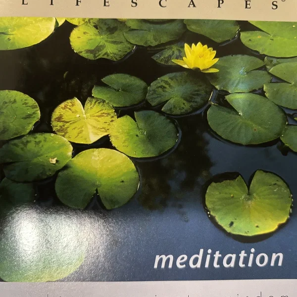 Lifescapes: Meditation