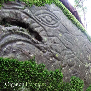Fragment by Organon - album cover