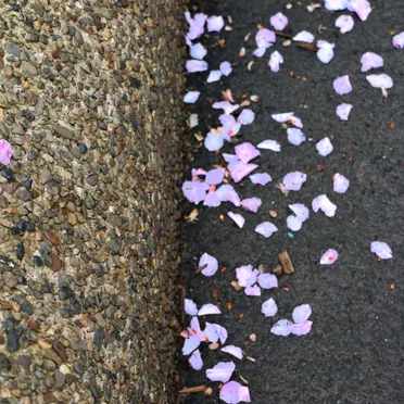 Fallen Feelings Negotiated