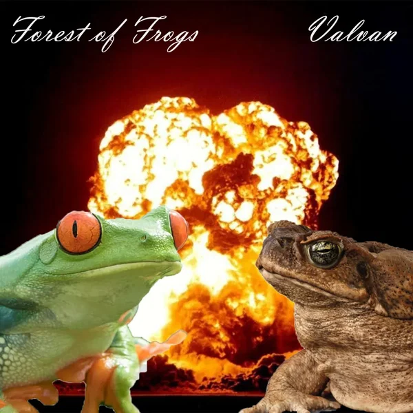 Frog VS Toad