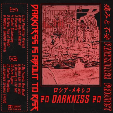 Painkiller Project (不安、痛み)