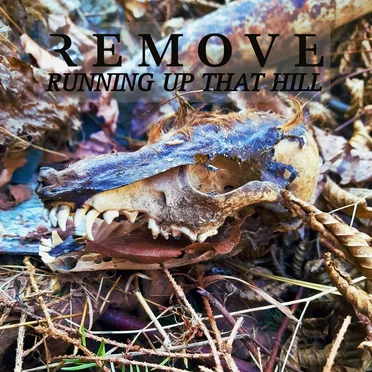 Running Up That Hill (Kate Bush Cover)