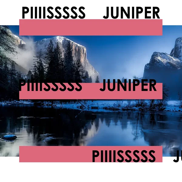 Juniper
