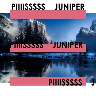 Juniper