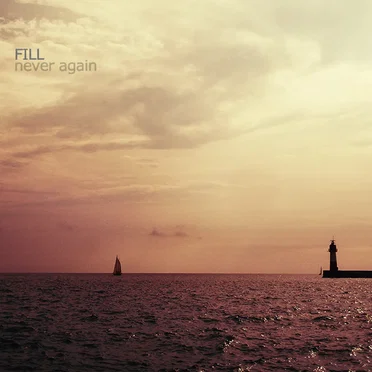 Never Again by Fill - album cover