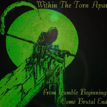 From Humble Beginnings Come Brutal Ends by Within the Torn Apart - album cover