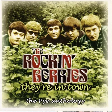 They're in Town: The Pye Anthology