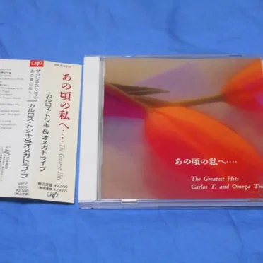 The Greatest Hit あの頃の私へ…