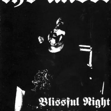 Blissful Night of Abortion by The Under - album cover
