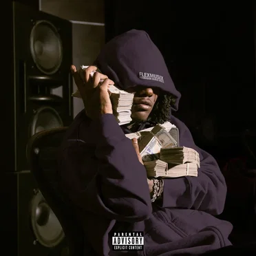 Flex Musix by OsamaSon - album cover
