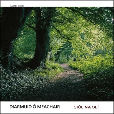 Siúl na Slí by Diarmuid Ó Meachair - album cover
