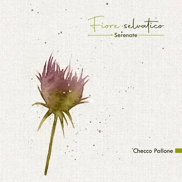 Fiore selvatico - Serenate by Checco Pallone - album cover