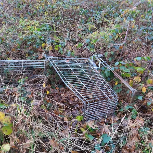 An Album About a Shopping Trolley