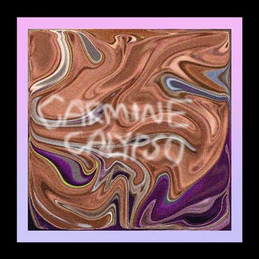 carminesellsout.wav by carminecalypso - album cover