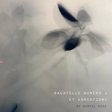 Bagatelle Numéro 1 Et Variations