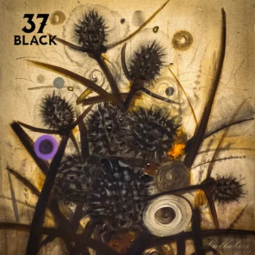 Lullabies by 37 Black - album cover
