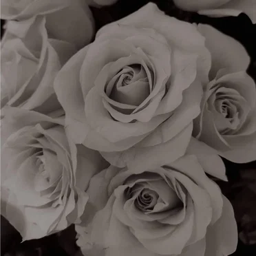 La vie en rose by YokodieS - album cover