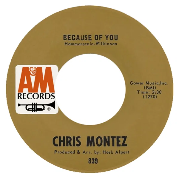 Because of You / Elena